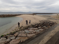 海岸線